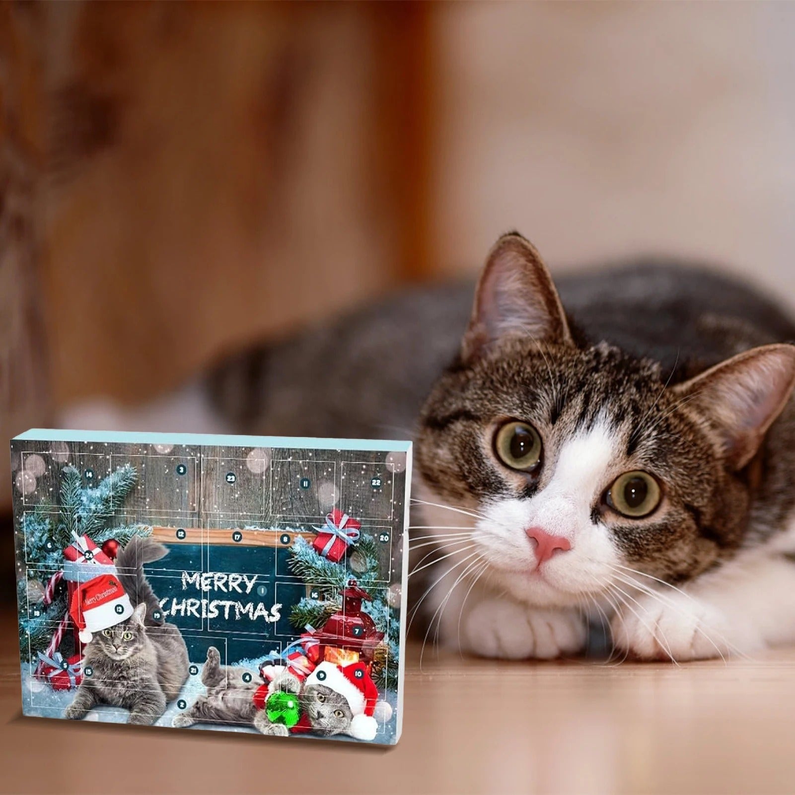 MIAO 2024 Cat Advent Calendar – 24-Day Christmas Cat Toy Countdown Gift